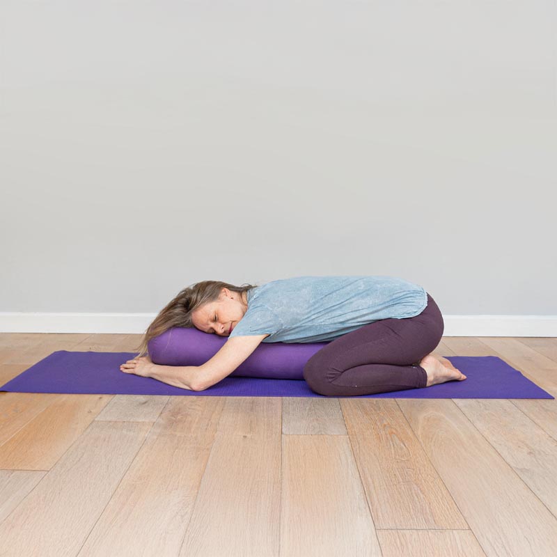 Yin_erica_shapiro_nov Yin_teacher_training_erica_shapiro_nov